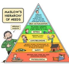 be1de090205b33e2b36535d44ae54895--maslows-hierarchy-of-needs-forensic-psychology